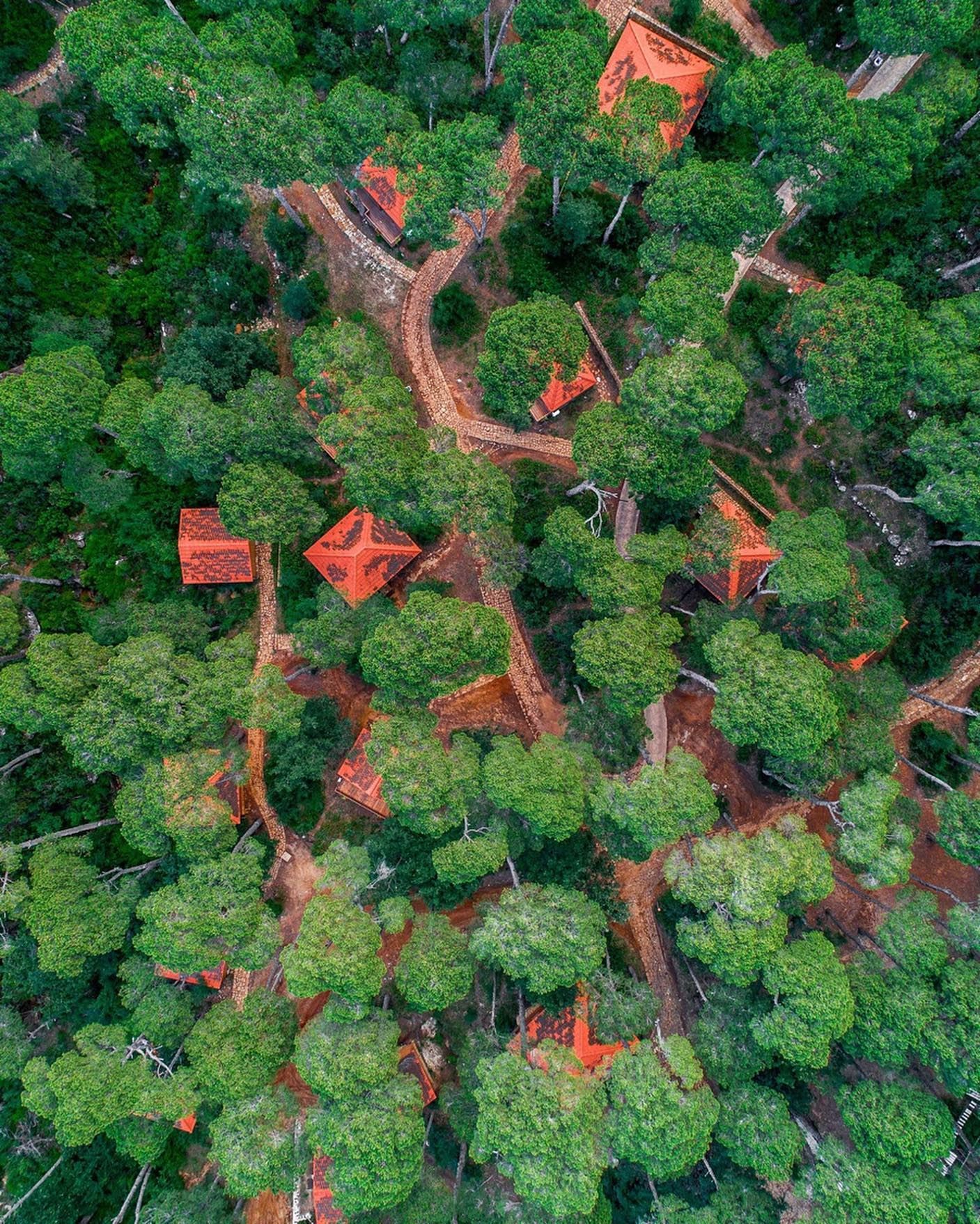 حرج بكاسين. (النهار)