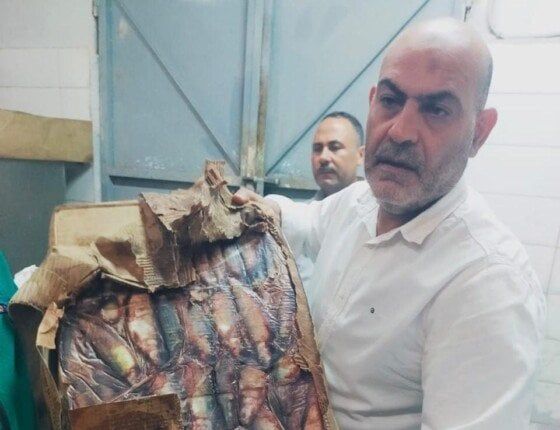 ضبط 2 طن أسماك ولحوم مجمدة مجهولة المصدر بالقليوبية ضبط 2 طن أسماك ولحوم مجمدة مجهولة المصدر بالقليوبية
