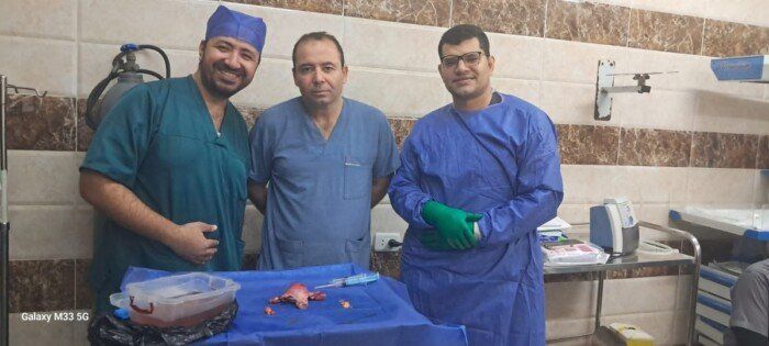 مستشفيات جامعة بني سويف تنجح في جراحة كبرى لتحديد مرحلة ورم خبيث في بطانة الرحم مستشفيات جامعة بني سويف تنجح في جراحة كبرى لتحديد مرحلة ورم خبيث في بطانة الرحم