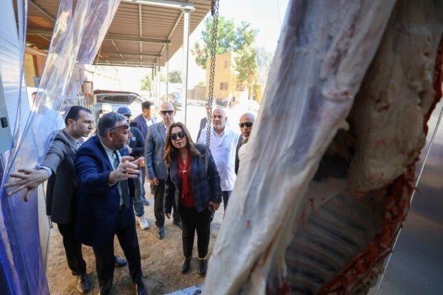 التنمية المحلية: إنشاء أول مجزر متنقل يهدف لتوفير خدمة الذبح المنظم بالمناطق النائية التنمية المحلية: إنشاء أول مجزر متنقل يهدف لتوفير خدمة الذبح المنظم بالمناطق النائية