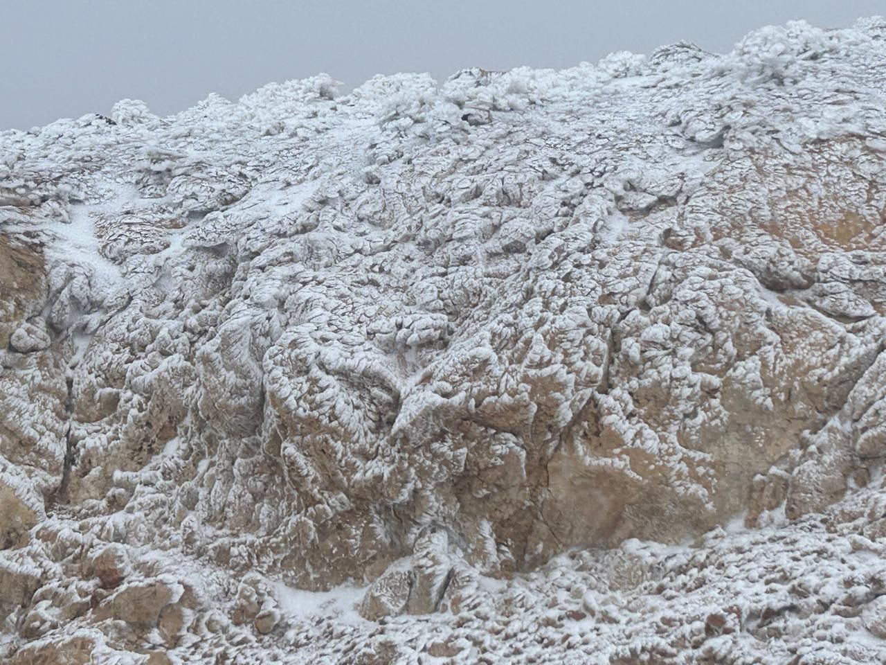 إهدن (طوني فرنجية)