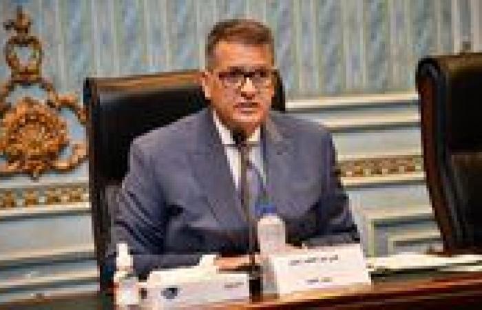 رئيس لجنة حقوق الإنسان بالنواب: الإقبال الكبير على الانتخابات ترجمة لوعي المصريين.. والحقوق السياسية تتصدر المشهد في عهد الرئيس السيسي - المصدر 7