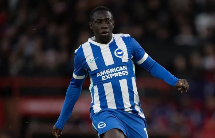 ليفربول يستقر على التعاقد مع نجم إفريقي صاعد لتعويض صلاح - المصدر 7