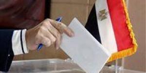 وفقًا للحصر العددي.. مرشحا "مستقبل وطن" و"الجبهة الوطنية" يتقدمان بدائرة سيدي جابر - المصدر 7