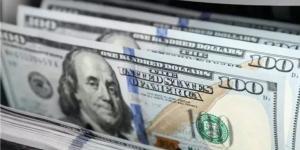 استقرار حذر.. سعر الدولار في مصر اليوم الجمعة 14 نوفمبر 2025 - المصدر 7