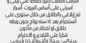 زيجات المشاهير.. أزمات واتّهامات متبادلة تصل للمحاكم والشاشات - المصدر 7