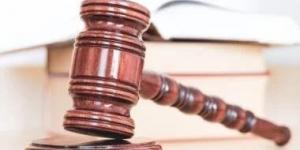 اليوم.. الحكم على متهم في قضية «خلية الوراق الإرهابية» - المصدر 7