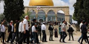 التعاون الخليجي: اعتداءات الاحتلال على المسجد الأقصى انتهاك صارخ - المصدر 7