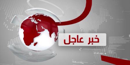 "ربما تحتوي جنيناً"... العثور على بيضة ديناصور عمرها 70 مليون سنة (صور وفيديو) - مصدرنا الإخباري
