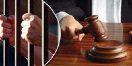 حجز إعادة محاكمة متهم بأحداث شغب السلام للحكم - المصدر 7