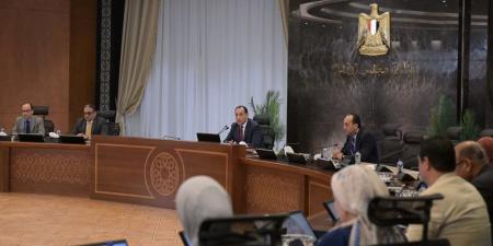 غدا.. رئيس الوزراء يرأس اجتماع الحكومة الأسبوعي ويعقبه مؤتمر صحفي - المصدر 7