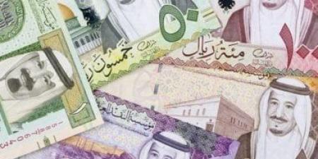 تراجع طفيف لسعر صرف الريال السعودى بالبنوك المصرية اليوم 11-11-2025 - المصدر 7