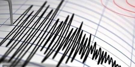 زلزالان يضربان غرب تركيا دون وقوع خسائر بشرية - المصدر 7