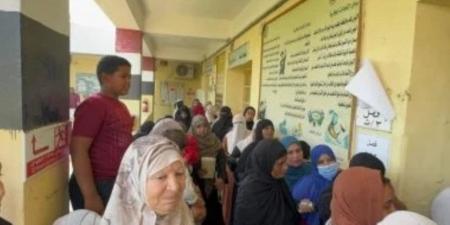 انتهاء التصويت فى لجان المرحلة الأولى بانتخابات مجلس النواب - المصدر 7