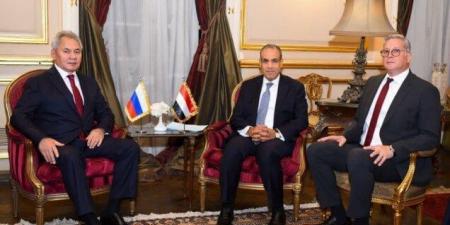 وزير الخارجية: حريصون على تخفيف وطأة المعاناة الإنسانية لسكان غزة - المصدر 7