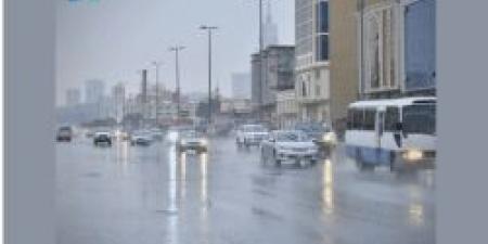 حالة الطقس.. أمطار خفيفة على 4 مناطق بالمملكة الأربعاء - المصدر 7