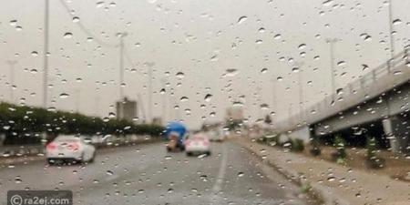 أمطار خفيفة متوقعة.. حالة الطقس في مصر اليوم 11-11-2025 - المصدر 7