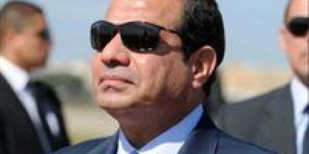 الرئيس السيسي: مصر تؤكد رفضها القاطع للإضرار بمصالحها المائية - المصدر 7