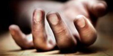 ضربة فأس.. مأساة بالدقهلية مسن يلقى حتفه إثر مشاجرة على أرض زراعية - المصدر 7