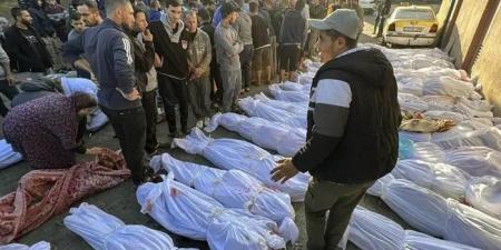 ارتفاع حصيلة ضحايا العدوان الإسرائيلي على قطاع غزة إلى 69182 شهيدا و170694 مصابا - المصدر 7