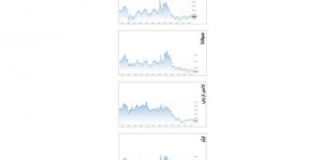 «بتكوين» تقاوم عند 105 آلاف دولار - المصدر 7