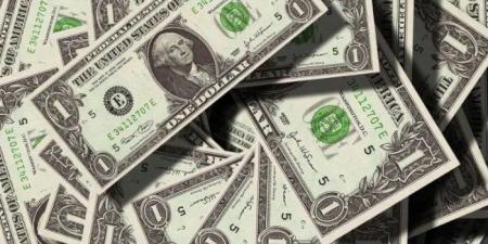 سعر الدولار الآن في مصر.. تحديث لحظي - المصدر 7