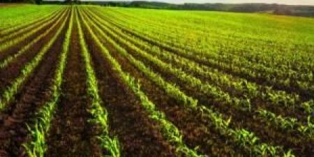 "الزراعة" تستبعد تأثر المحاصيل سلبا في ظل تأخر هطول الأمطار - المصدر 7