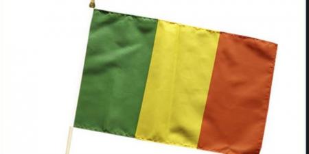 حدث فى مالى .. إعدام مؤثرة على تيك توك علنا يثير جدلا واسعا - المصدر 7