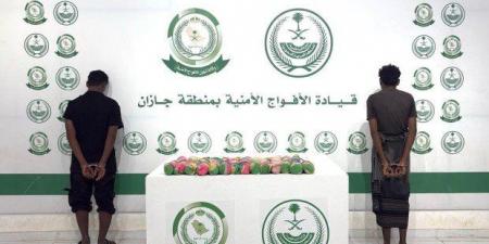 ضبط شخصين لمحاولتهما تهريب كمية من «القات المخدر» في جازان - المصدر 7