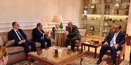 أبو الغيط يشدد على ضرورة استصدار قرار من مجلس الأمن يعيد إطلاق عملية السلام وفق المرجعيات الدولية - المصدر 7