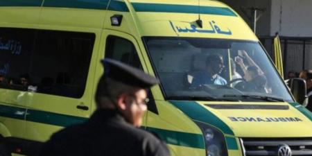 مصر.. معلمة مخمورة تقتل شخصين وتصيب 9 على كورنيش المعادي - المصدر 7