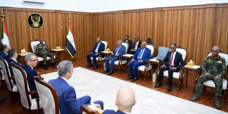 وزير الخارجية: مصر تؤكد تضامنها الكامل مع السودان - المصدر 7