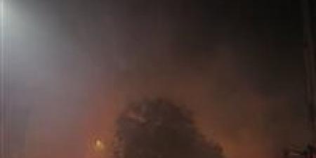 النيران محاوطة المكان.. تفاصيل حريق هائل بحديقة المتحف الزراعي في الدقي - المصدر 7