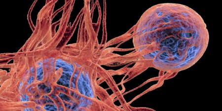 فيروس شائع يتسلل إلى الحمض النووي ويحفز السرطان مباشرة - المصدر 7