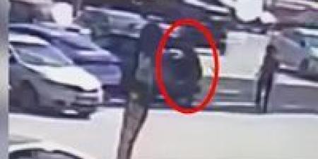 كسروا الإزاز وسرقوا اللاب.. الداخلية تكشف ملابسات فيديو سرقة سيارة بالجيزة - المصدر 7