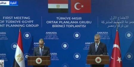 وزير الخارجية: نجدد رفضنا المساس بحقوق الشعب الفلسطيني غير قابلة للتصرف - المصدر 7