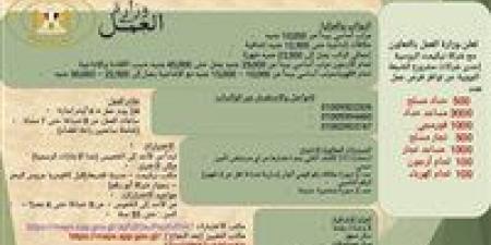 وزارة العمل توفر 6200 فرصة عمل جديدة بمشروع الضبعة النووي بالتعاون مع شركة بتروجيت - المصدر 7