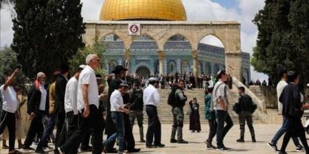 مئات المستوطنين يقتحمون باحات الأقصى بحماية شرطة الاحتلال - المصدر 7