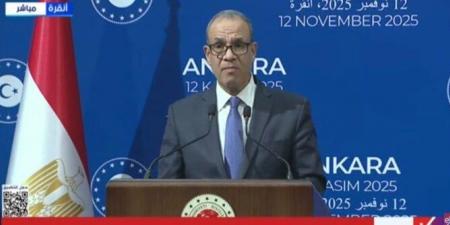 «عبد العاطي»: نتطلع لزيادة التعاون التجاري مع تركيا إلى نحو 15 مليار دولار خلال السنوات الخمس المقبلة - المصدر 7