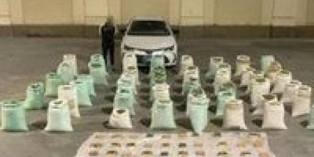 الداخلية توجه ضربة قاصمة لتجار المخدرات بالإسماعيلية.. ضبط طن ونصف هيدرو و25 كيلو حشيش - المصدر 7