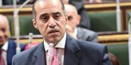 الوزير فوزي: انتظام تشكيل المجالس النيابية ثلاث دورات متتالية يعكس رسوخ الديمقراطية في مصر - المصدر 7