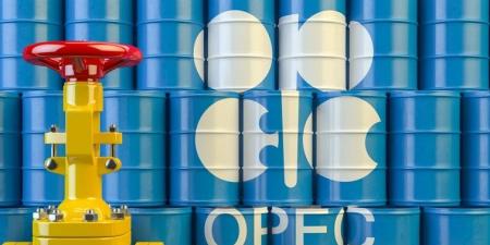 «أوبك» تتوقع زيادة الطلب على النفط بنحو 1.4 مليون برميل يومياً خلال عام 2026 - المصدر 7