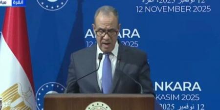 وزير الخارجية: نعزي تركيا في حادث سقوط الطائرة العسكرية - المصدر 7