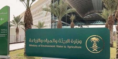 السعودية.. إطلاق أول مدرسة حقلية لتأهيل المزارعين والنحالين ومربي الماشية - المصدر 7