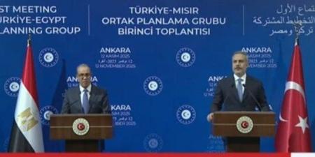 وزير الخارجية: نؤكد على أهمية تنفيذ حل الدولتين وإقامة دولة فلسطينية مستقلة - المصدر 7