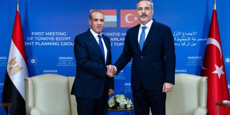 وزير الخارجية: القيادة السياسية المصرية حريصة على تعزيز التعاون المشترك مع تركيا في مختلف المجالات - المصدر 7