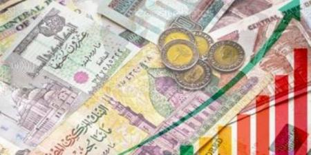 29 مؤشراً سكانياً تستهدفهم الخطة العاجلة للسكان والتنمية في مصر.. رئيس الوزراء يؤكد أهمية الاستثمار في الابتكار الصحي لتعزيز جودة الخدمات - المصدر 7