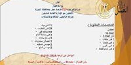 157 فرصة عمل جديدة بمحافظة الجيزة بالتعاون مع شركة البابطين للطاقة والاتصالات.. اعرف شروط التقديم - المصدر 7