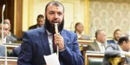 أربعة فائزين من أحزاب مختلفة في انتخابات النواب 2025 بينهم مرشح النور - المصدر 7