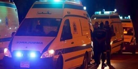 إصابة 12 شخصًا في تصادم ميكروباص بسيارة ملاكي بطريق المرشدين ببورسعيد - المصدر 7